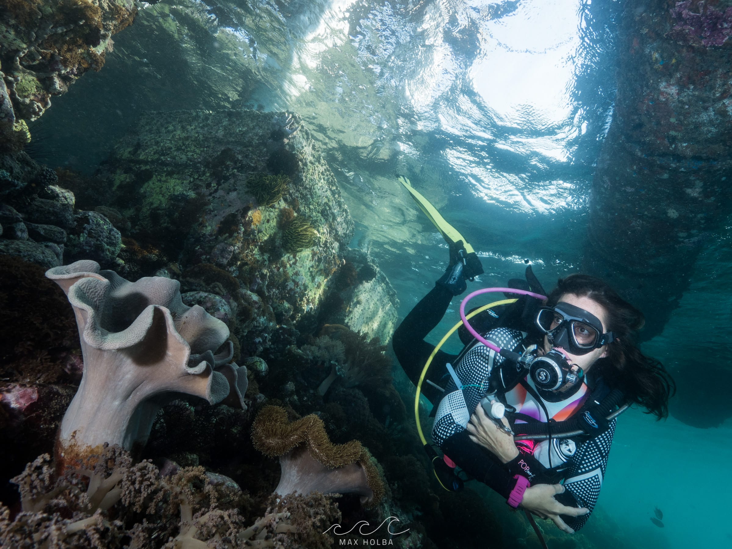 Alami Alor Jetty House Reef Diver