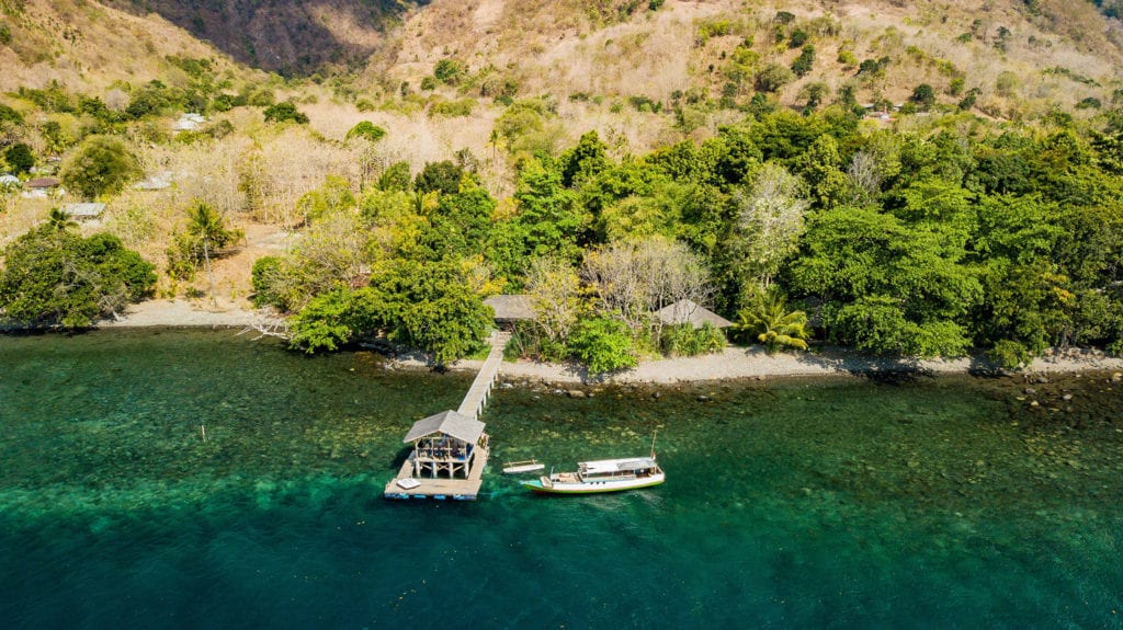 House Reef, Alami Alor Dive Resort - Richard Stevens, Black Manta Photography