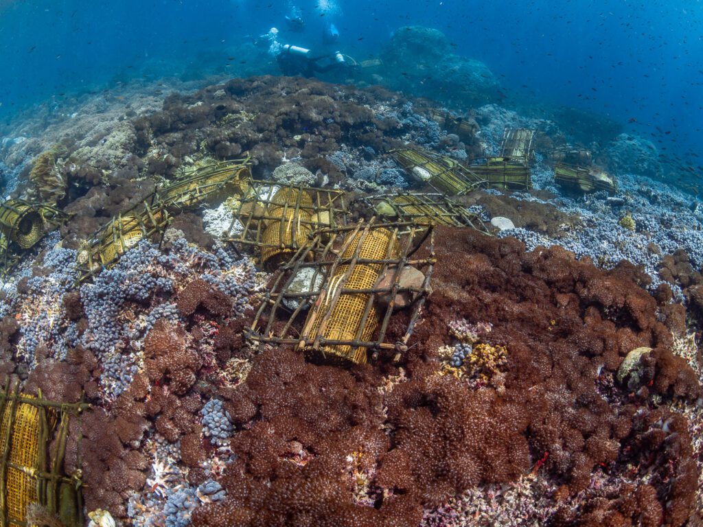 bubu, fish traps made by alor fisherman. alor archipelago, indon