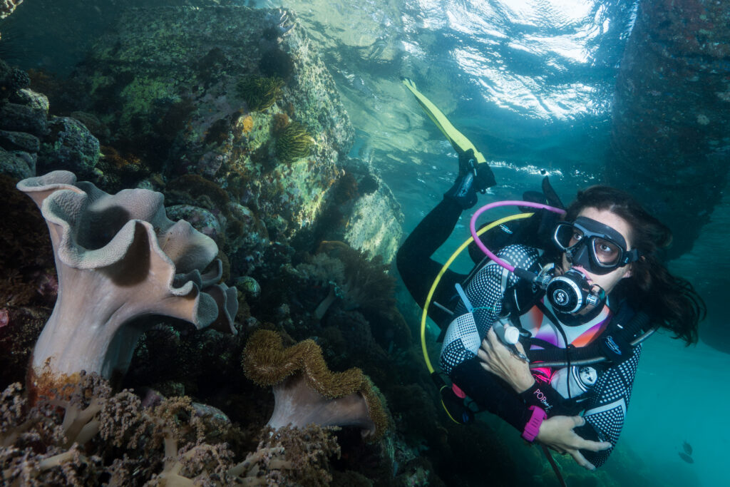 Rhomé Scuba Diving